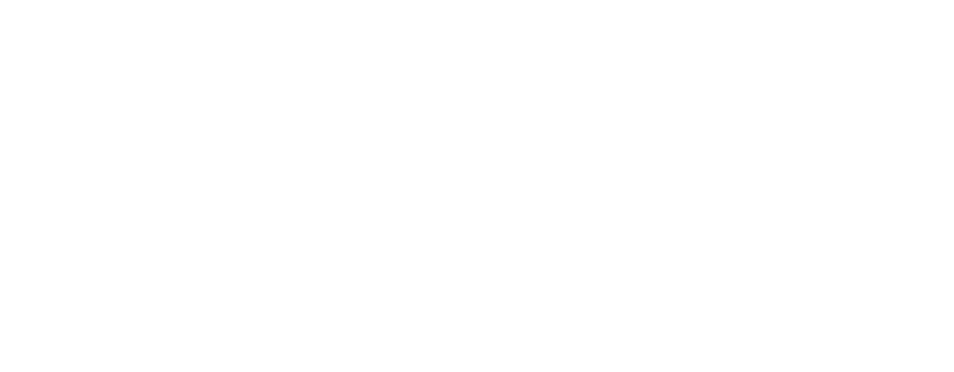 Dermics Store